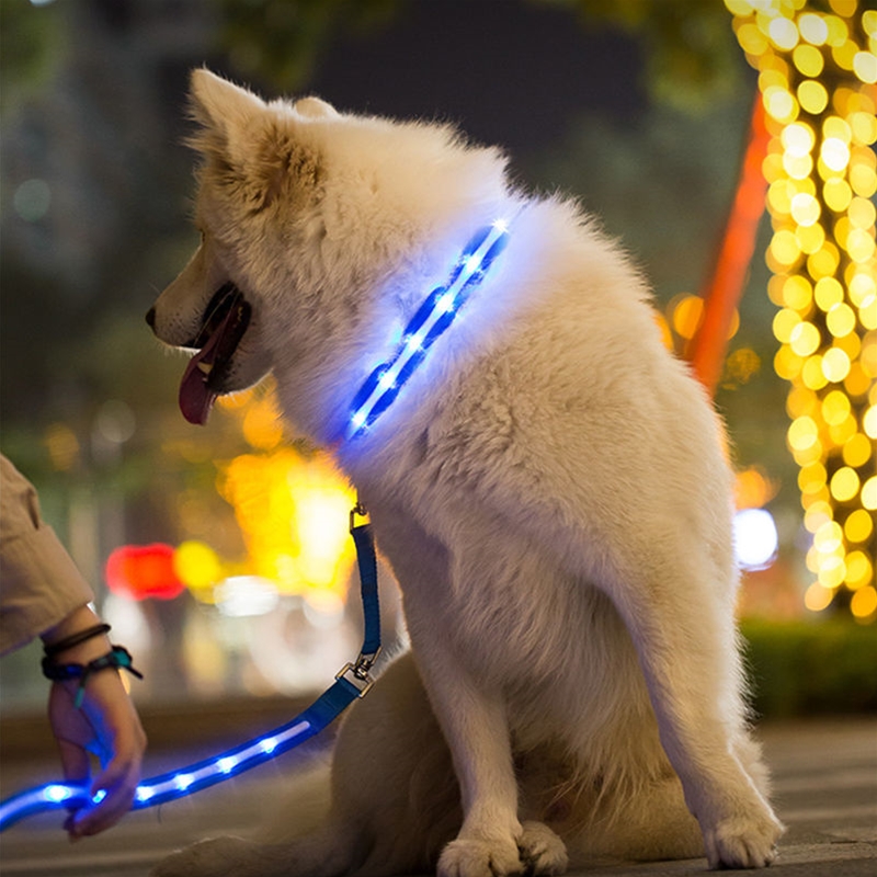 wildsaver LED FPC Pet Collar